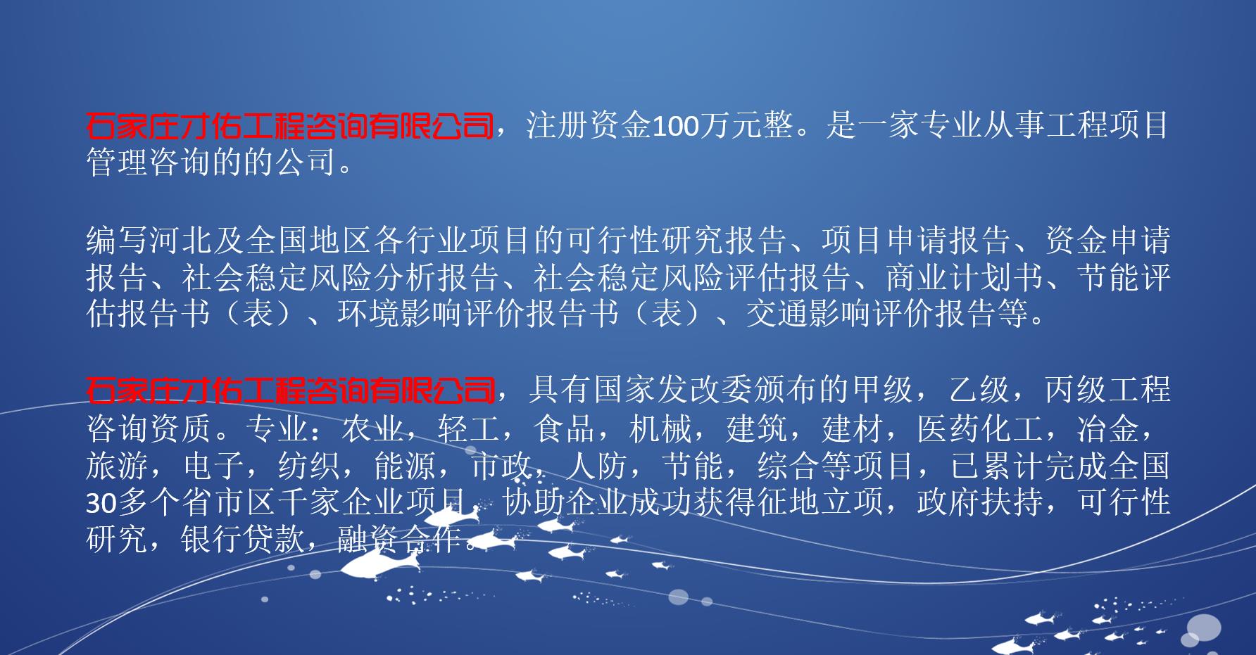 大同资金申请报告-编制资金申请报告指导报价