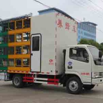 厂家东风小多利卡蓝牌养蜂车（国五标准）