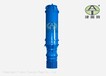 QH不锈钢潜水泵-耐磨耐腐蚀可靠水泵-海水淡化平台专用
