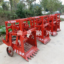 桔梗药材收获机辣根种植机黄芪挖药机板蓝根出药机供应厂家图片