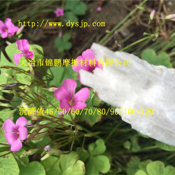 阜阳超Xi硅灰石粉活性800目400目精制硅灰石粉塑料硅灰石