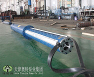 机井灌溉用QJ型深井水泵_100方流量_390米扬程潜水泵图片5