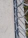 清远基坑护栏报价单镀锌电焊网用于学校的围栏成本低廉