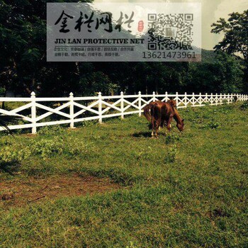 佛山廣東PVC馬場護(hù)欄，馬場護(hù)欄，養(yǎng)馬場護(hù)欄，歡迎咨詢！