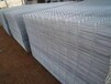 广东清远-电焊网碰焊网,护栏隔离栏-优质桃型柱护栏金栏网栏焦生
