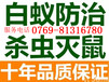 东莞市白蚁防治中心东莞白蚁防治公司东莞白蚁防治