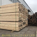 临汾建筑方木价格图片1