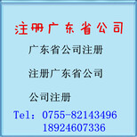登尼特注册深圳公司,公司注册流程图片0