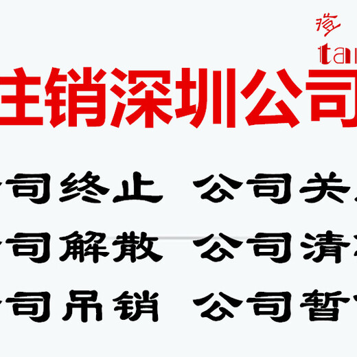深圳公司法定代表人的限制条件