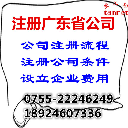 注册广东省公司费用及流程