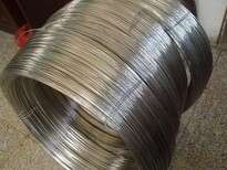 北京SUS430LX冷镦不锈钢丝特殊钢线材电热合金,冷镦不锈钢草酸线材图片3