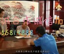 萍乡土元养殖土元怎么养图片