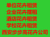 西安绿植租摆上门服务养护修护