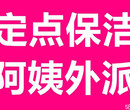 上海浦东保洁公司外高桥单位定点保洁商务楼办公室保洁阿姨外派