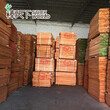 棒天下优质欧洲进口25厚A级实木板材木业