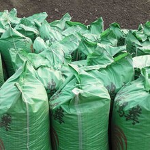 安徽瓜蒌鸡粪有机肥发酵腐熟蓬松土壤生根壮苗