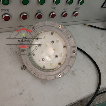 防爆工厂灯,冰库170W防爆工厂灯