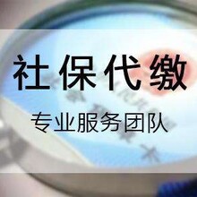 海口社保代理，代缴海口公积金，代办海口社保，海口个税申报公司