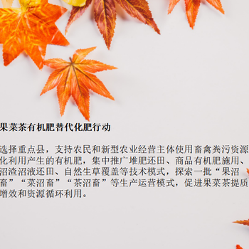 昌都特色小鎮(zhèn)概念性規(guī)劃編制機構