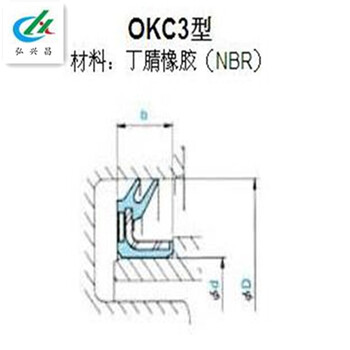 旋转NOK油封OKC3型油封