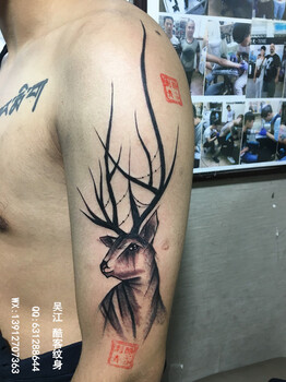动物纹身手稿#麋鹿纹身#吴江酷客纹身