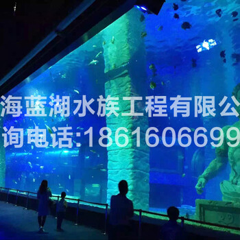 上海海洋馆设计/商业海洋馆设计公司/水族海洋馆建设项目