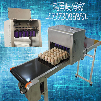 高解析的整盘鸡蛋喷码机不需要清洗维护的喷码机