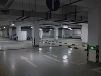 上海杨浦车库固化地坪,地坪工程图片1