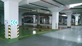 芦潮港车间地坪工程施工图片5