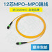 TARLUZ12芯MPO-MPO萬兆G657A進口MPO單模光纖跳線