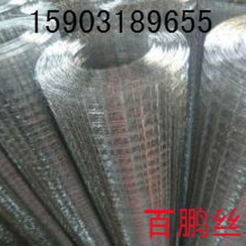 衢州、江山、舟山粉刷鐵絲網掛灰電焊網抹墻鐵線網墻壁粉刷防裂網改拔絲電焊網-百鵬電焊網