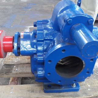 CHY齿轮泵，CHY型齿轮油泵图片5