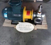 优质泊头天海泵业制造无泄漏磁力驱动的磁链齿轮泵磁力齿轮泵
