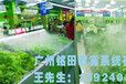 超市蔬菜保鲜设备代理商_广东新品超市蔬菜保鲜设备哪里有供应