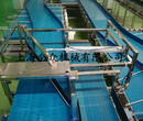 供应上海全众机械输送设备塑料网带输送线SLWDX