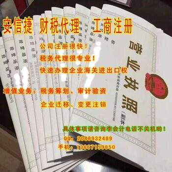 武汉市汉阳财务代理记账工商执照代办王家湾会计每月上门记账报税变更股权