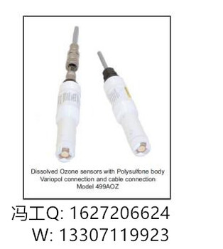 艾默生分析仪1065-03-22-32-AN/1066-P-HT-60艾默生电导率仪传感器