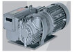  Guangzhou Rietschle single-stage oil rotary vane vacuum pump