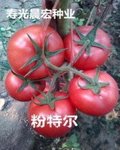 1482817634058541400-0.jpg@1e_1c_220w_220h_90Q.jpg