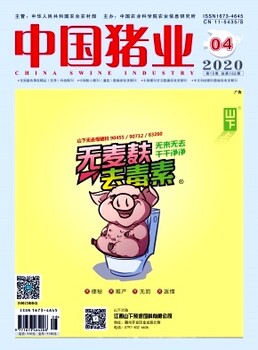 非物质文化遗产研究集刊属于核心还是普刊，投稿咨询联系