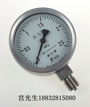 不锈钢压力表型号Y-100B-2.5Mpa螺纹201.5