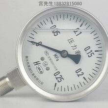 充油防腐国标压力表衡水布莱迪仪表YTN-100F