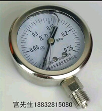 YTN-60F不锈钢充油水压表衡水布莱迪仪表有限公司