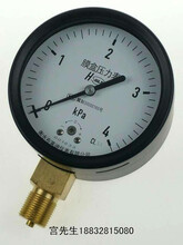 布莱迪厂家供应微压表气压表膜盒压力表YE-100