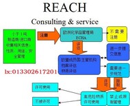 东莞办理欧盟REACH174项SVHC环保报告证书图片3