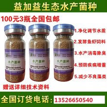 益加益水产菌种用在虾的养殖有什么好处图片