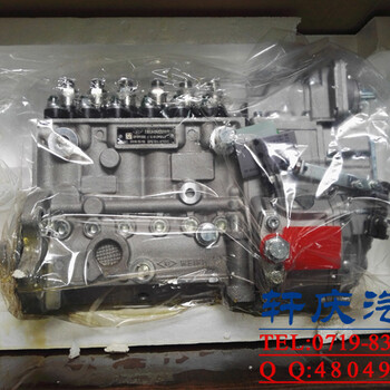 东风康明斯L系列发动机燃油泵C5310134