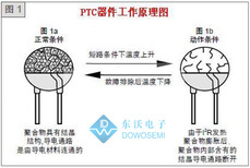 图片0