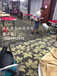 芳村酒店地毯，办公室地毯清洁消毒除菌普通地毯清洗低价清洗