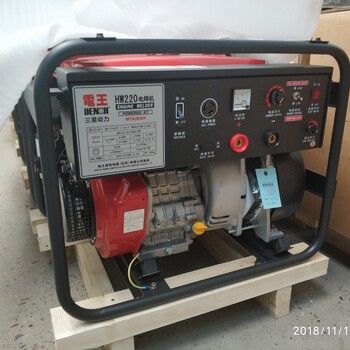 電王精密電器(北京)有限公司-發(fā)電電焊機